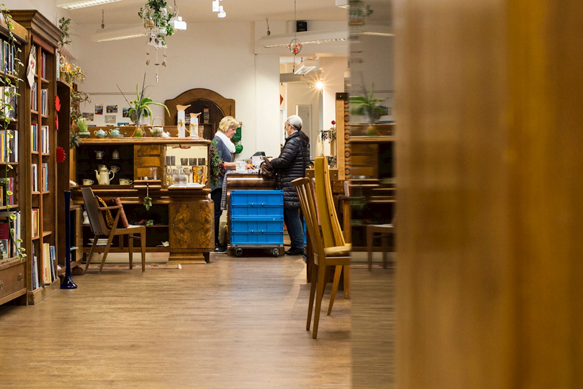 Man sieht schöne Bücher-Regale aus Holz im Carla-Laden in Fürstenfeld. Im Hintergrund spricht eine Mitarbeiterin mit einer Kundin.